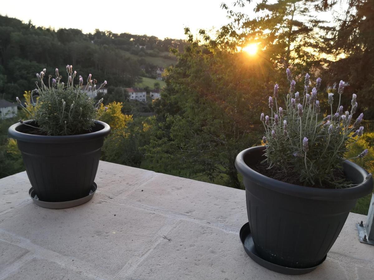 Chambre Meublee Avec Vue Panoramique A Perigueux Sanilhac  Zewnętrze zdjęcie